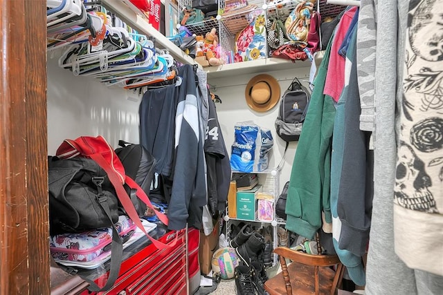 view of spacious closet