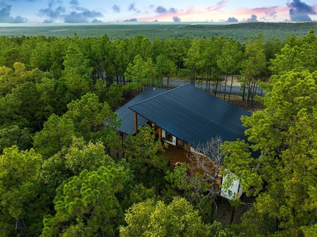 aerial view with a forest view