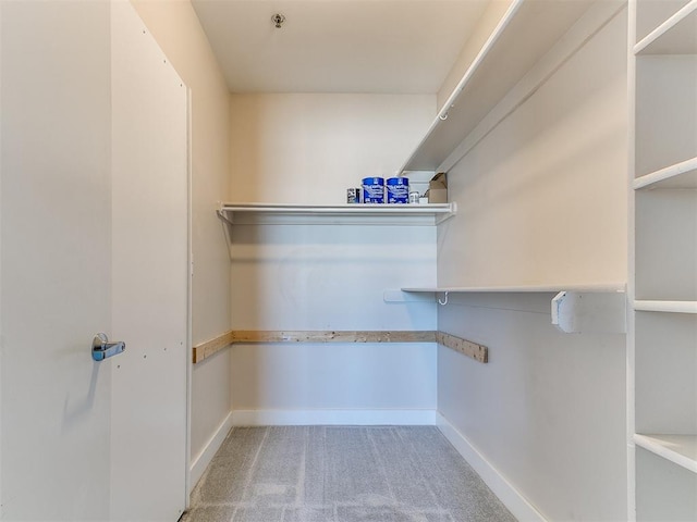 444 N Central Ave Unit 110, Oklahoma City, OK 73104 - walk in closet featuring carpet