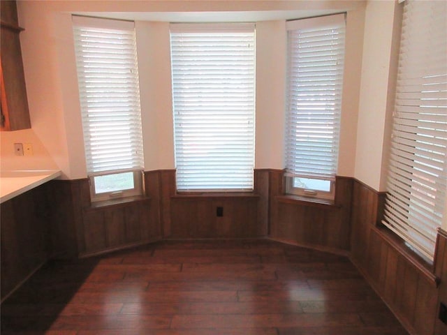 unfurnished dining area featuring dark wood finished floors, a wainscoted wall, and wood walls