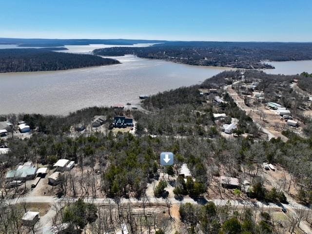 bird's eye view featuring a water view and a wooded view