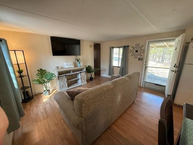 living area featuring wood finished floors