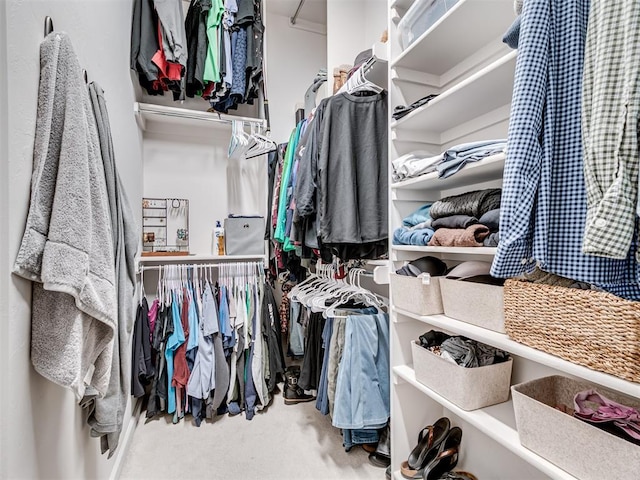 walk in closet with carpet floors