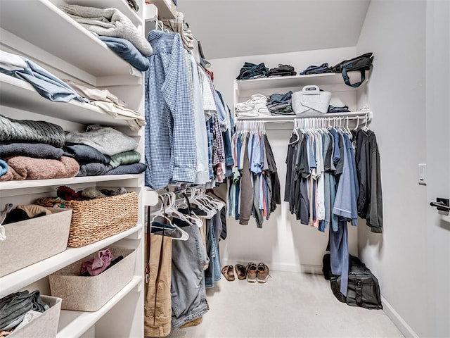 spacious closet featuring carpet floors