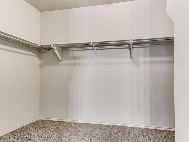 walk in closet featuring carpet