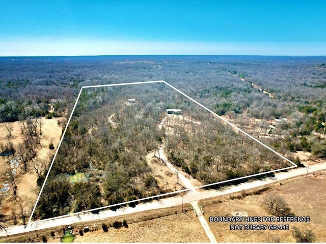 bird's eye view with a forest view