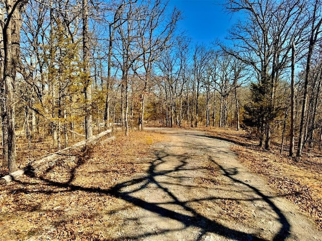 view of road with a wooded view