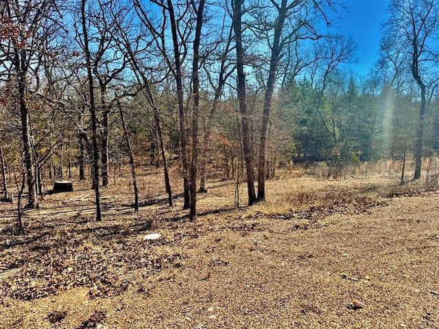 view of local wilderness featuring a view of trees