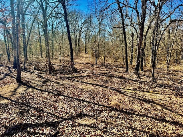 view of local wilderness featuring a wooded view