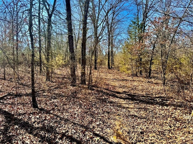 view of nature featuring a forest view