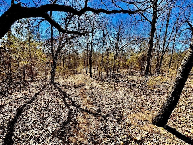 view of local wilderness