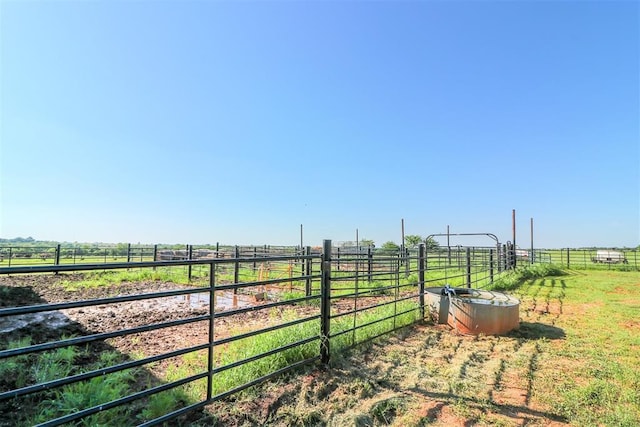 view of yard with an exterior structure and a rural view