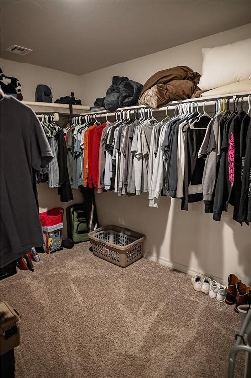 spacious closet with carpet floors