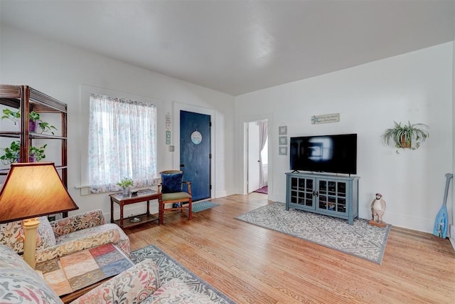 living room featuring wood finished floors and baseboards