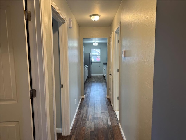 hallway with baseboards and dark wood-style flooring