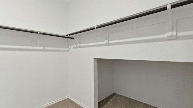 walk in closet with dark colored carpet