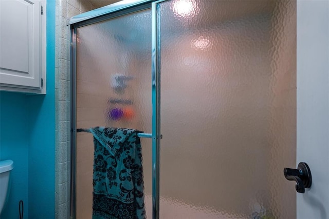 full bathroom featuring toilet and a shower stall