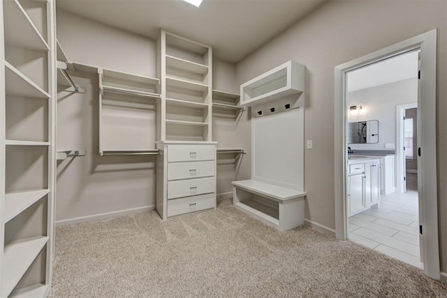 walk in closet featuring carpet floors and a sink