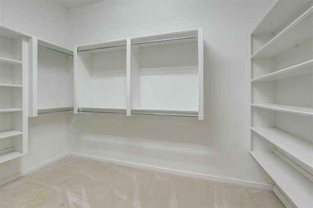 walk in closet with carpet floors