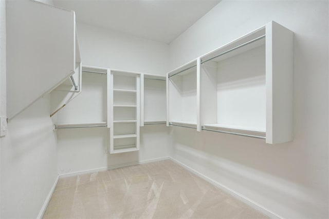 walk in closet featuring carpet floors