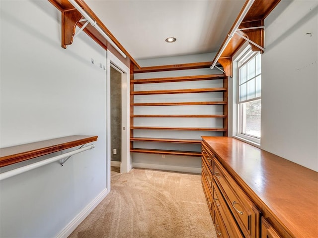 walk in closet with light colored carpet