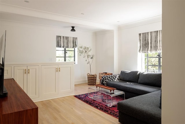 living room featuring healthy amount of natural light and light wood finished floors