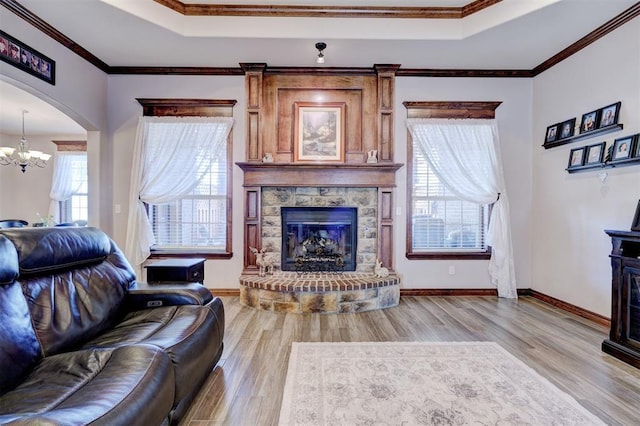 living area with wood finished floors, a stone fireplace, and a raised ceiling