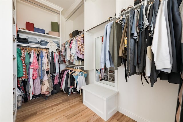 walk in closet with wood finished floors