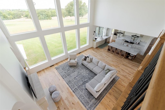 2909 High View Dr, Arcadia, OK 73007 - living room featuring healthy amount of natural light, a towering ceiling, and wood finished floors
