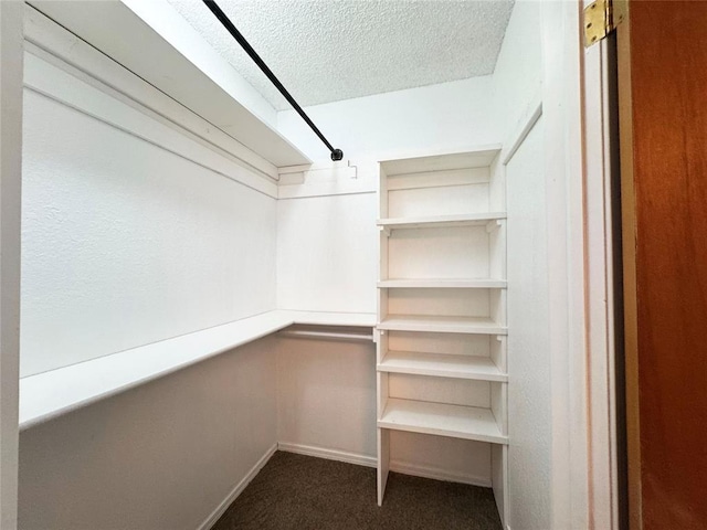 spacious closet with carpet