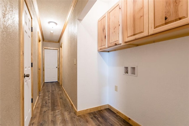 interior space featuring dark wood-style floors, a textured wall, crown molding, and baseboards