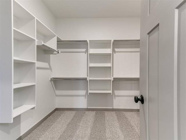 spacious closet featuring carpet floors