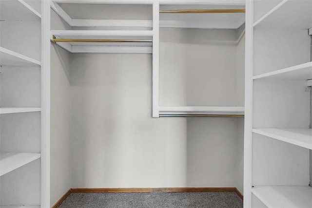 spacious closet with carpet floors