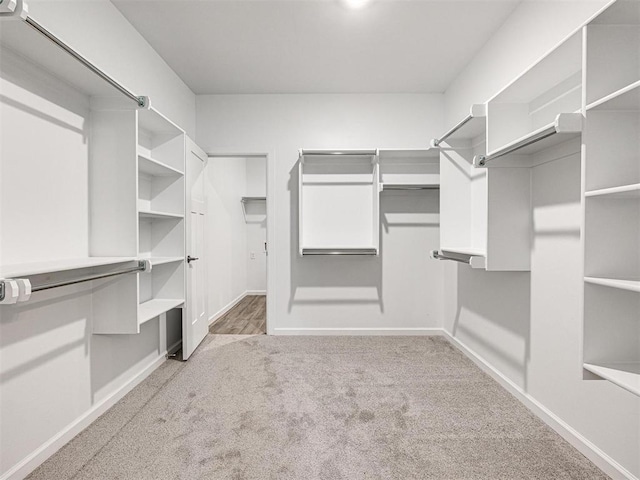 spacious closet with carpet