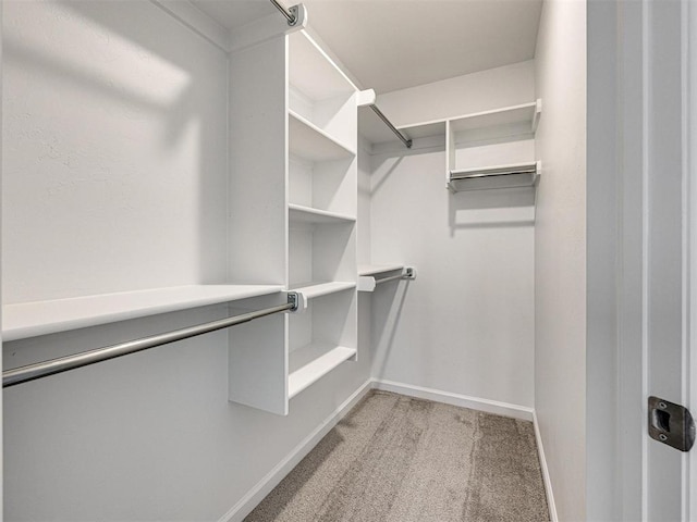 spacious closet with light carpet