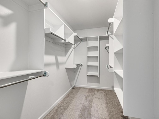 walk in closet with light colored carpet