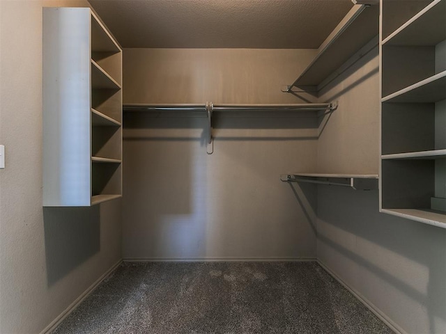 spacious closet featuring carpet flooring