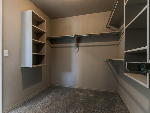 walk in closet with carpet floors