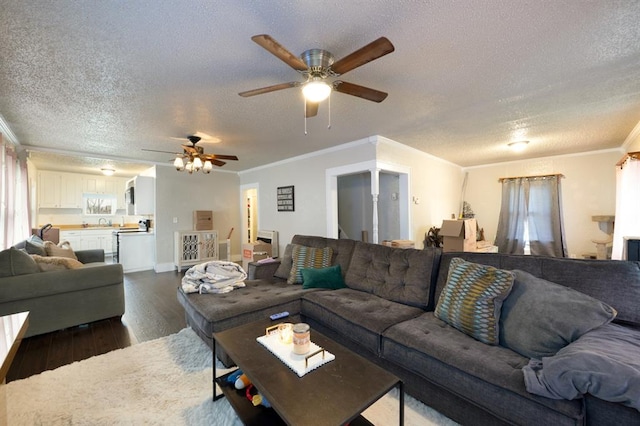 living room featuring dark wood-type flooring, crown molding, a textured ceiling, and ceiling fan