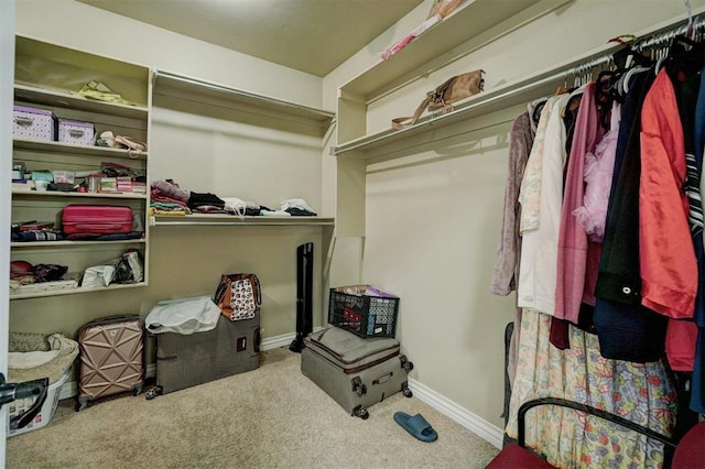 spacious closet with carpet