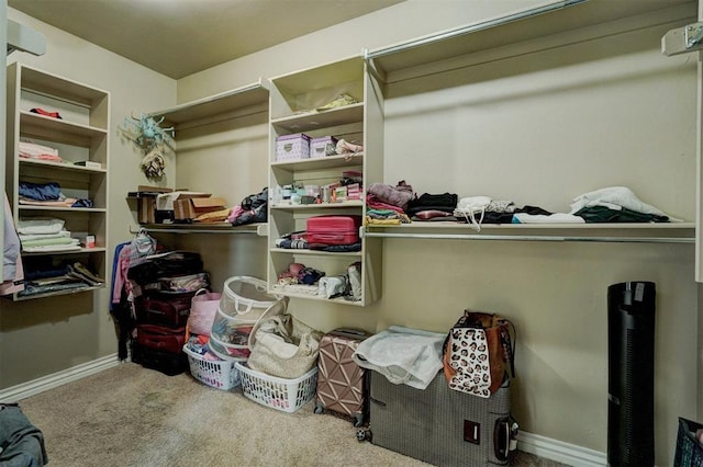 walk in closet featuring carpet