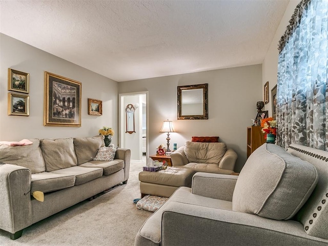 carpeted living area with a textured ceiling