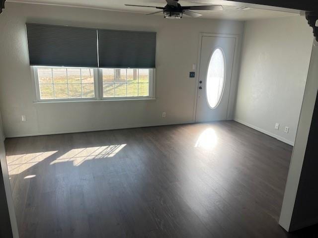 entrance foyer featuring ceiling fan, plenty of natural light, and wood finished floors