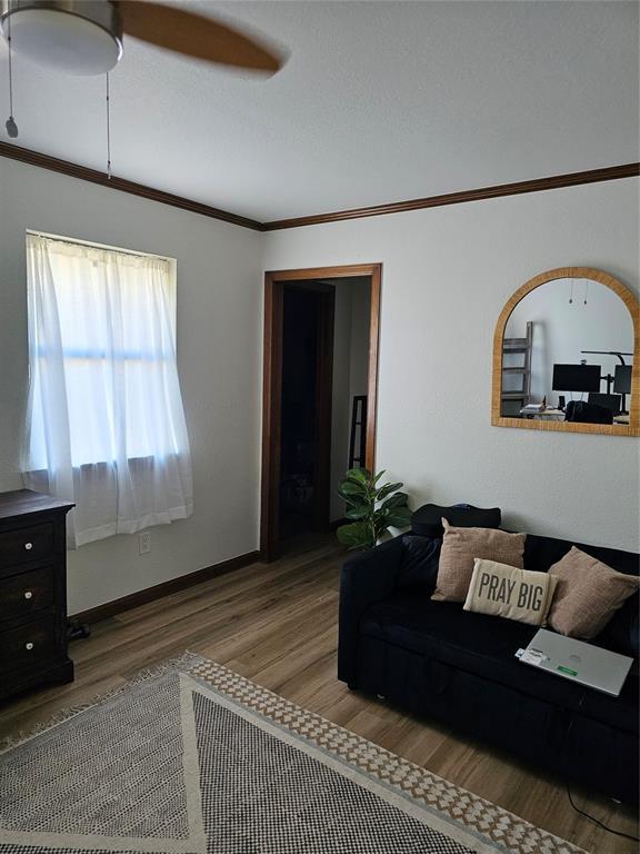 living area featuring a ceiling fan, light wood-style floors, baseboards, and ornamental molding