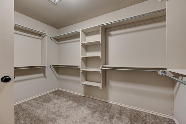 spacious closet featuring carpet