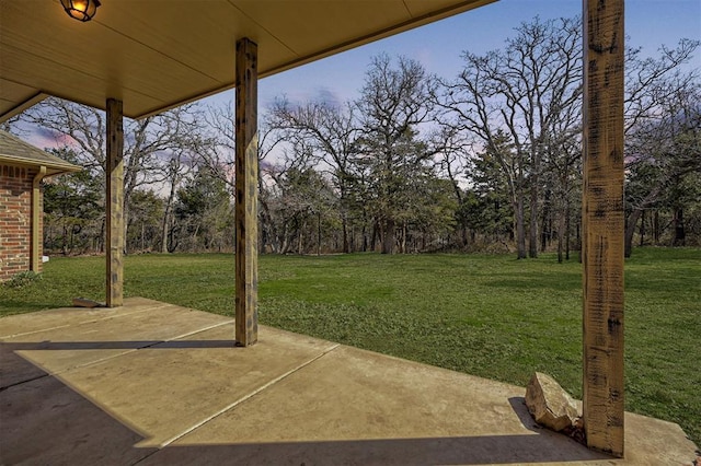 view of yard with a patio area