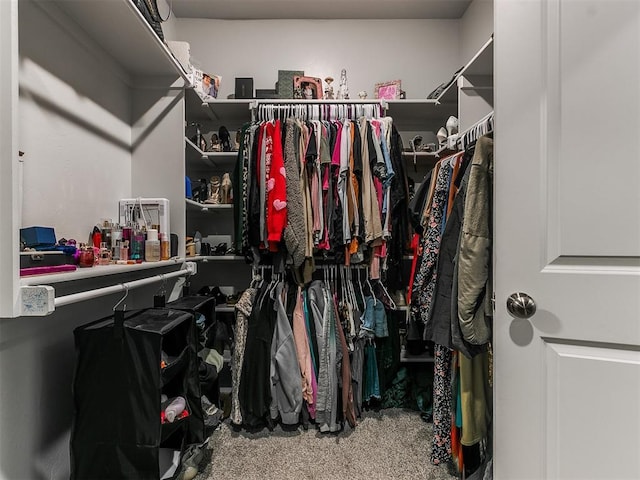 spacious closet with carpet floors