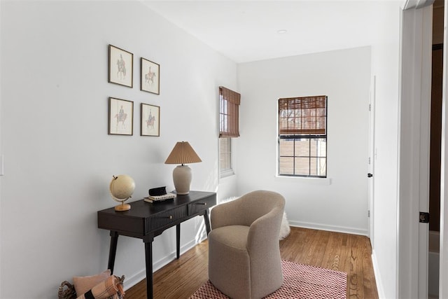 office with baseboards and wood finished floors