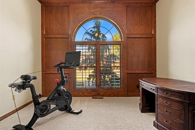 workout area with plenty of natural light, baseboards, and carpet flooring