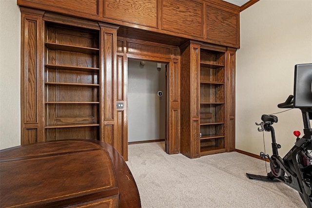 interior space featuring light carpet and baseboards